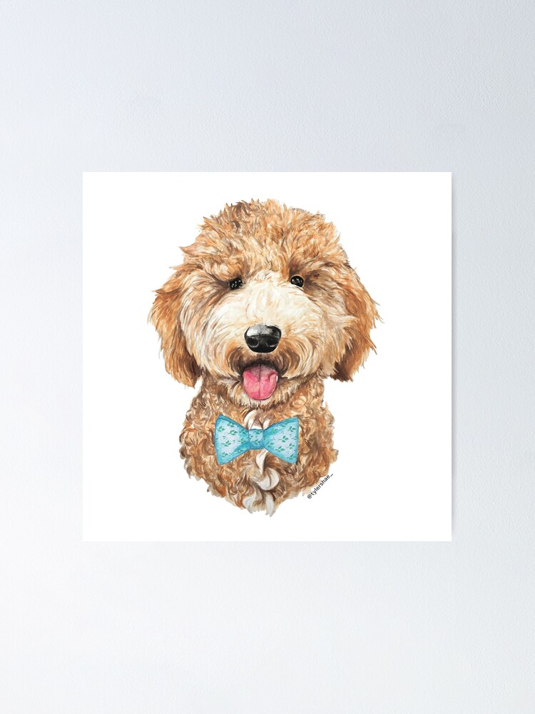 goldendoodle bow tie