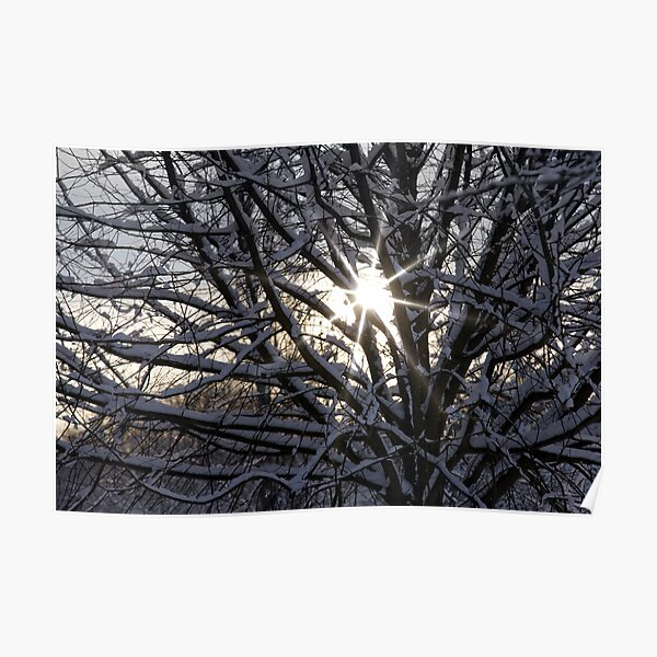 Weak Winter Sunshine Poster