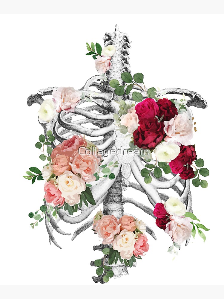 Anatomy, ribcage, rib cage,roses bloom spring by Collagedream