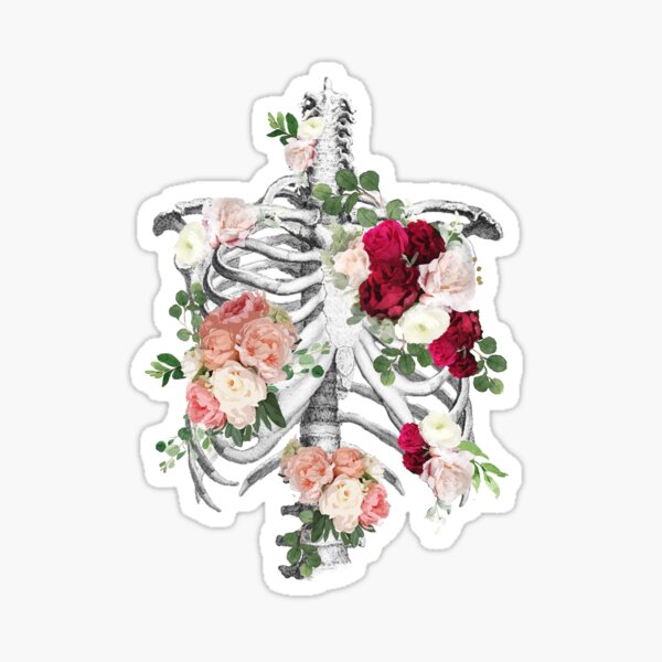 Anatomy, ribcage, rib cage,roses bloom spring Sticker