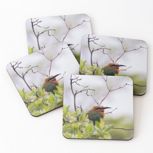 Item preview, White Fronted Bee Eater Chilling in a Tree designed and sold by Claire-Baker.