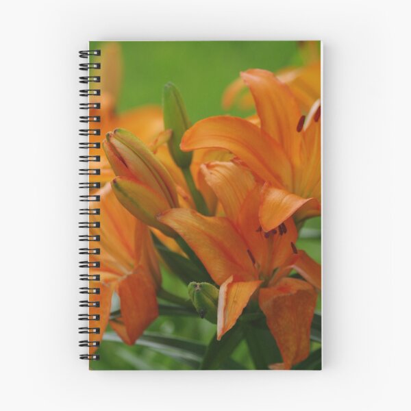 Artikelvorschau, Bright Orange Lillies entworfen und verkauft von Faeowyn.