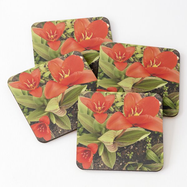 Item preview, Blooming Lovely designed and sold by Fara.