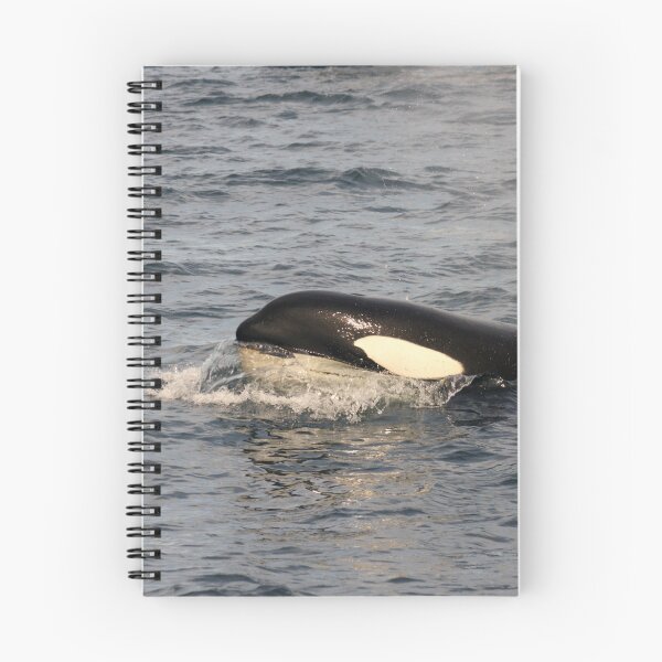 Item preview, Orca designed and sold by Jean Knowles.