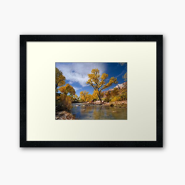 Golden Cottonwoods Framed Art Print