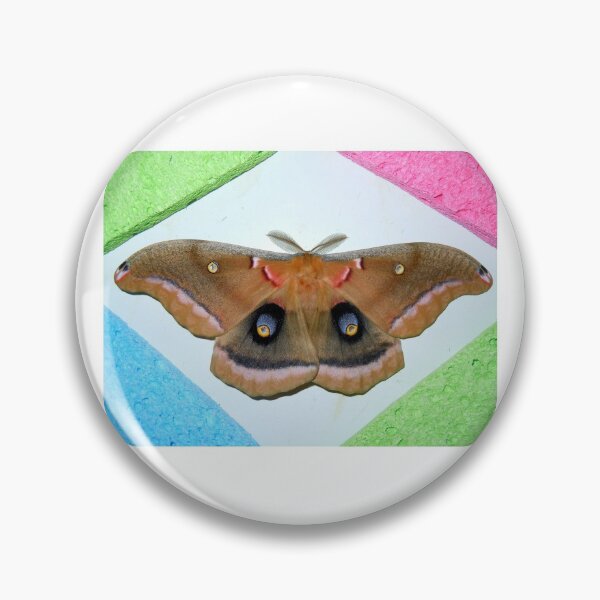 Item preview, "Polyphemus Moth" designed and sold by Robert Regenold's Art Shop.