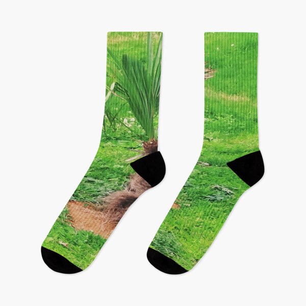 Item preview, Baby Palm designed and sold by oxoxoxo.