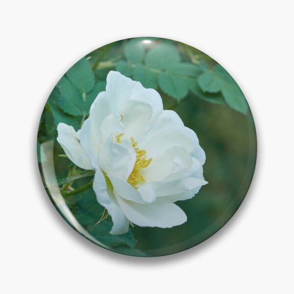 Item preview, Midsummer rose 28 designed and sold by Jouko Lehto Photography.