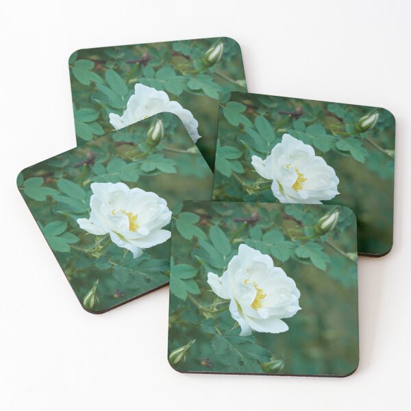 Item preview, Midsummer rose 28 designed and sold by Jouko Lehto Photography.