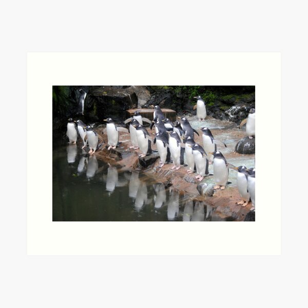Item preview, Gentoo Penguins designed and sold by Dorothy Thomson.