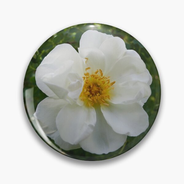 Item preview, Midsummer rose 31 designed and sold by Jouko Lehto Photography.