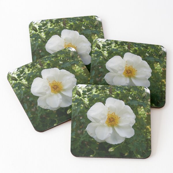 Item preview, Midsummer rose 31 designed and sold by Jouko Lehto Photography.