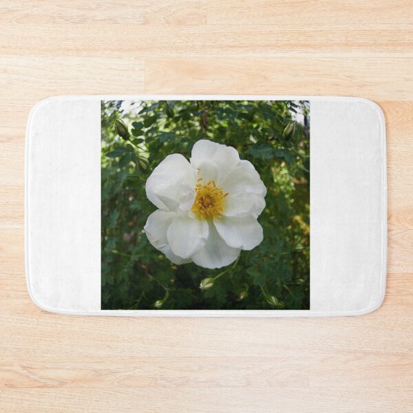 Item preview, Midsummer rose 31 designed and sold by Jouko Lehto Photography.