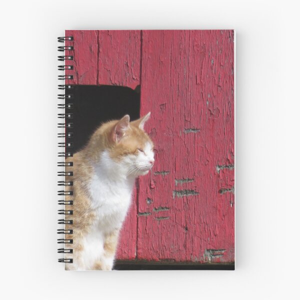 Item preview, Barn kitty designed and sold by mlh-photoss.