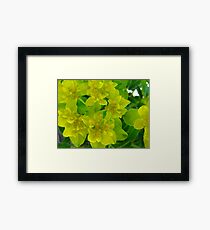 Yellow levity Framed Print