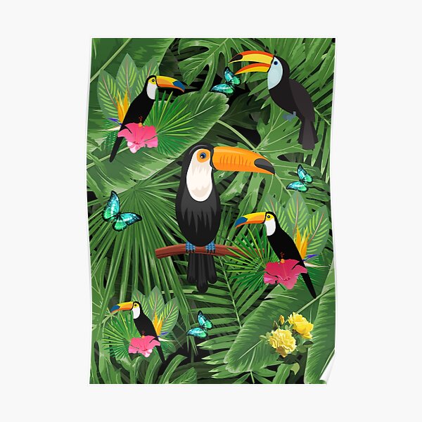 Toucan tropic Poster