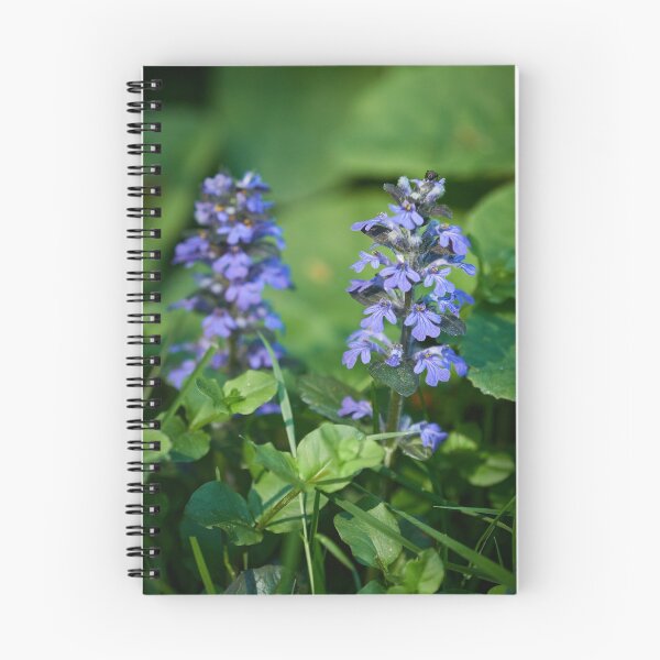 Item preview, Bugleweed fan designed and sold by Jouko Lehto Photography.