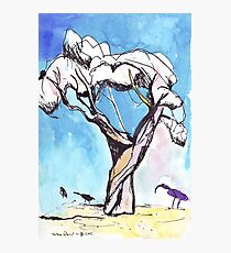 Tree Study Photographic Print