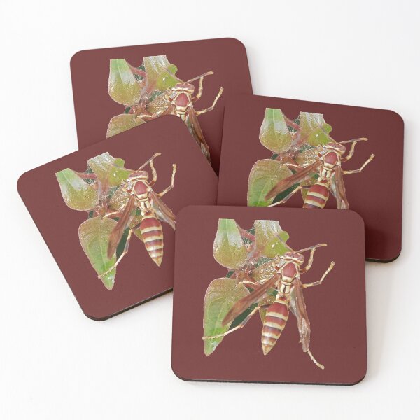 Item preview, Wasp drinking from a leaf designed and sold by 57victor.