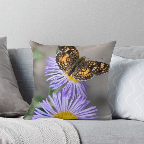 Aperçu de l'œuvre Papillon sur fleur violette créée et vendue par levipie.