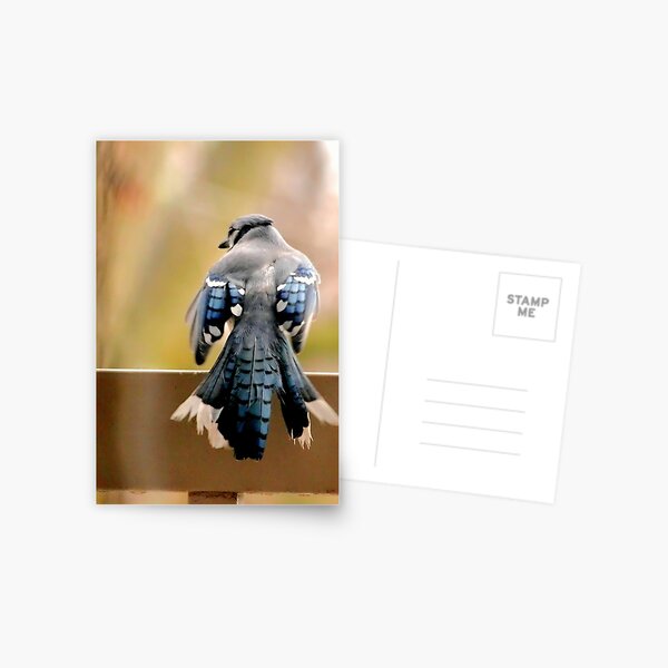 Item preview, Blue Jay designed and sold by Leera07.