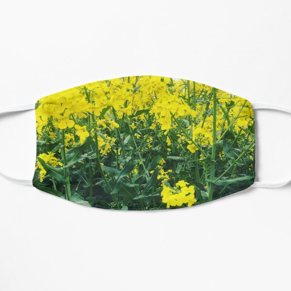 Natural English Rapeseed Flowers Plant Mask