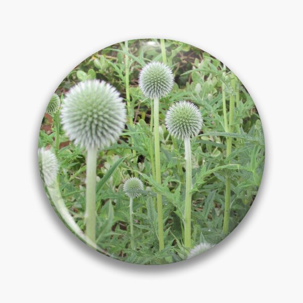 Item preview, Echinops - A Green Spiky Delight designed and sold by GoNatureDesigns.