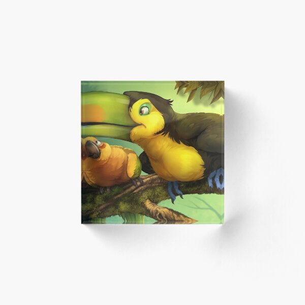 Toucan and Sun Conures! Acrylic Block