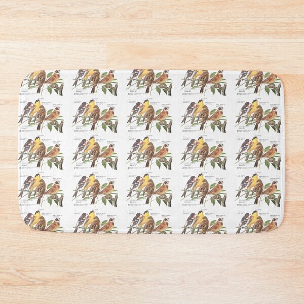 Item preview, Encyclopedia Birds designed and sold by Sophia Tierney.