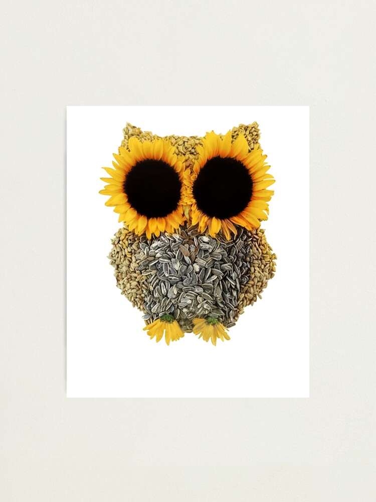 cute sunflower owl lover gift for women men design