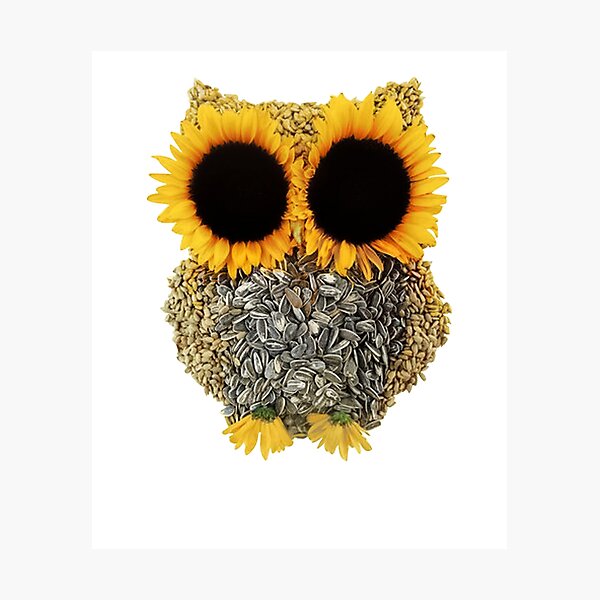cute sunflower owl lover gift for women men design