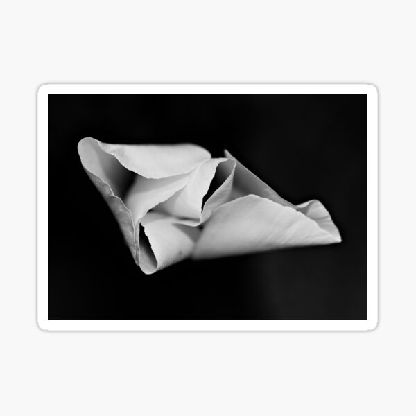 Item preview, Californian Poppy, Evening designed and sold by KGibbs.