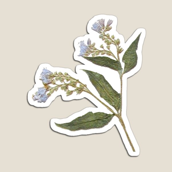 Buy White Vintage Flowers - Die cut stickers - StickerApp