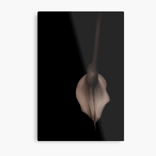 Item preview, Calla Lily in repose designed and sold by alan shapiro.
