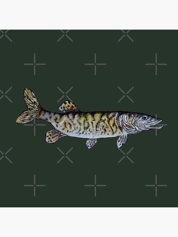 Musky Fish Drawing Dark Green by Michelebuttons