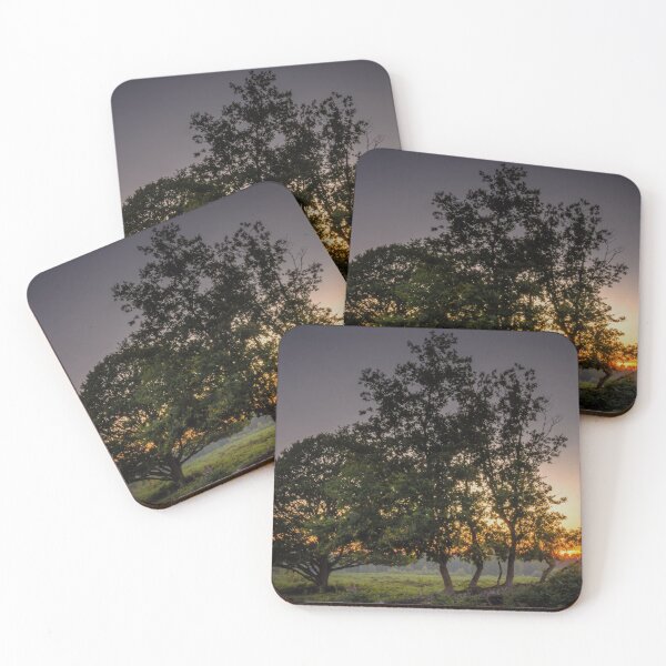 Item preview, Branching Out designed and sold by JEZ22.