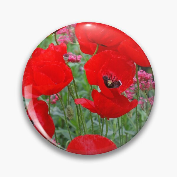 Item preview, Poppies, Holme Gardens, June 2020 designed and sold by RedHillDigital.