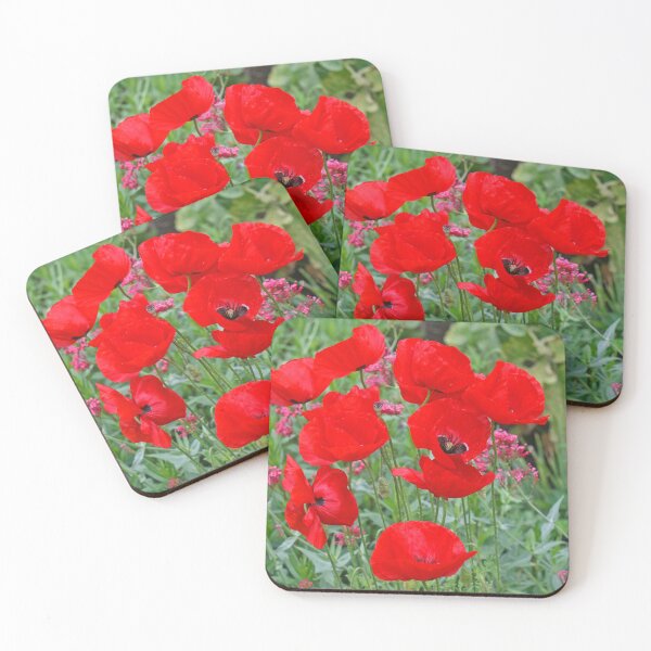 Item preview, Poppies, Holme Gardens, June 2020 designed and sold by RedHillDigital.
