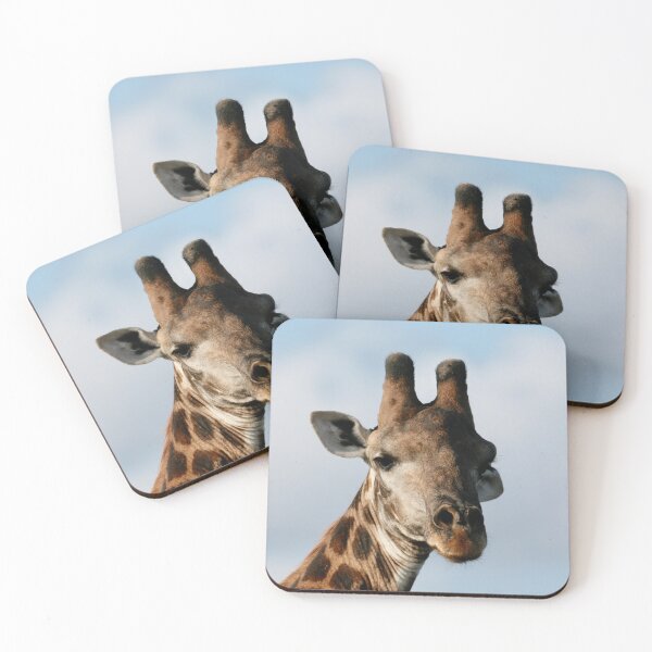 Item preview, I see you designed and sold by wolins.