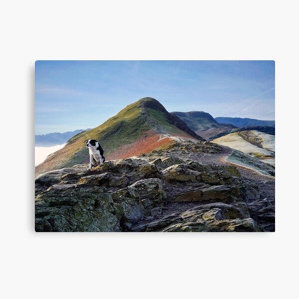 Item preview, It's a dogs life on the footpath to Catbells designed and sold by Martin Lawrence.