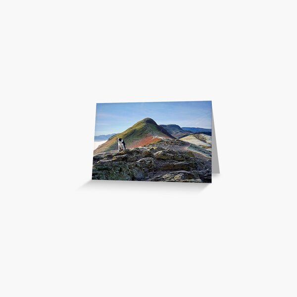 It's a dogs life on the footpath to Catbells Greeting Card