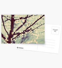 tree of lights Postcards