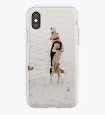 Collie in the Snow iPhone Case