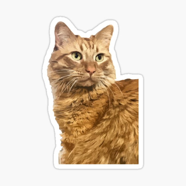 MrKermitMeow Sticker