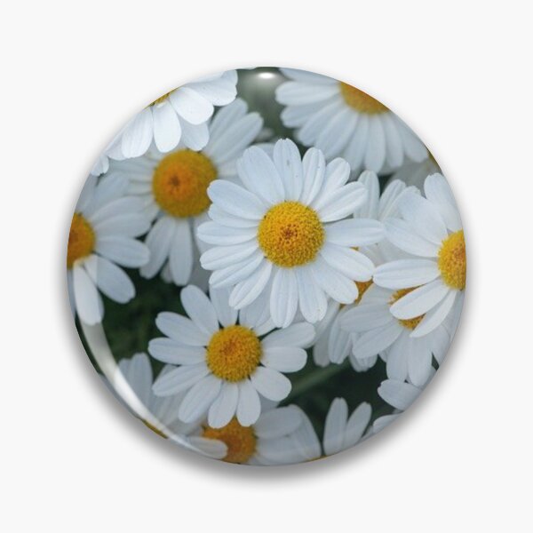 Aperçu de l'œuvre Daisys créée et vendue par sunshine64.