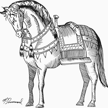 Artwork thumbnail, Horse by Maria Drummond