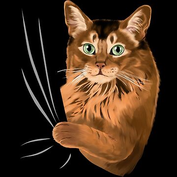 Lilac Somali Cat Somali Fluffy Cat 2ドル銀貨 Somali Fluffy Cat 2