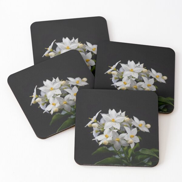Item preview, Flowers of a jasmine nightshade, Solanum laxum designed and sold by Zosimus.