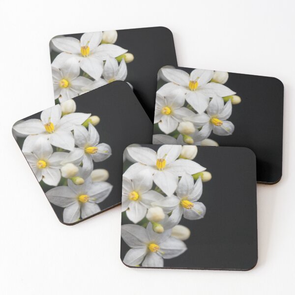 Item preview, Flowers of a jasmine nightshade, Solanum laxum, with a black background. designed and sold by Zosimus.