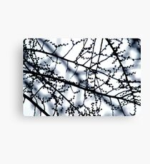 Monochrome harvest Canvas Print